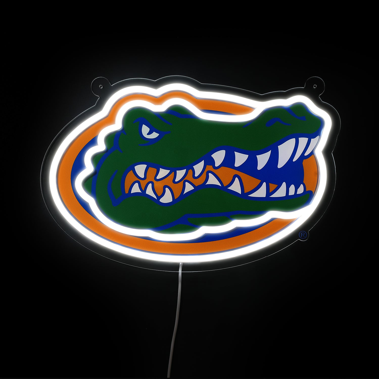 Blemished Florida Gators Sign - Saturday Neon