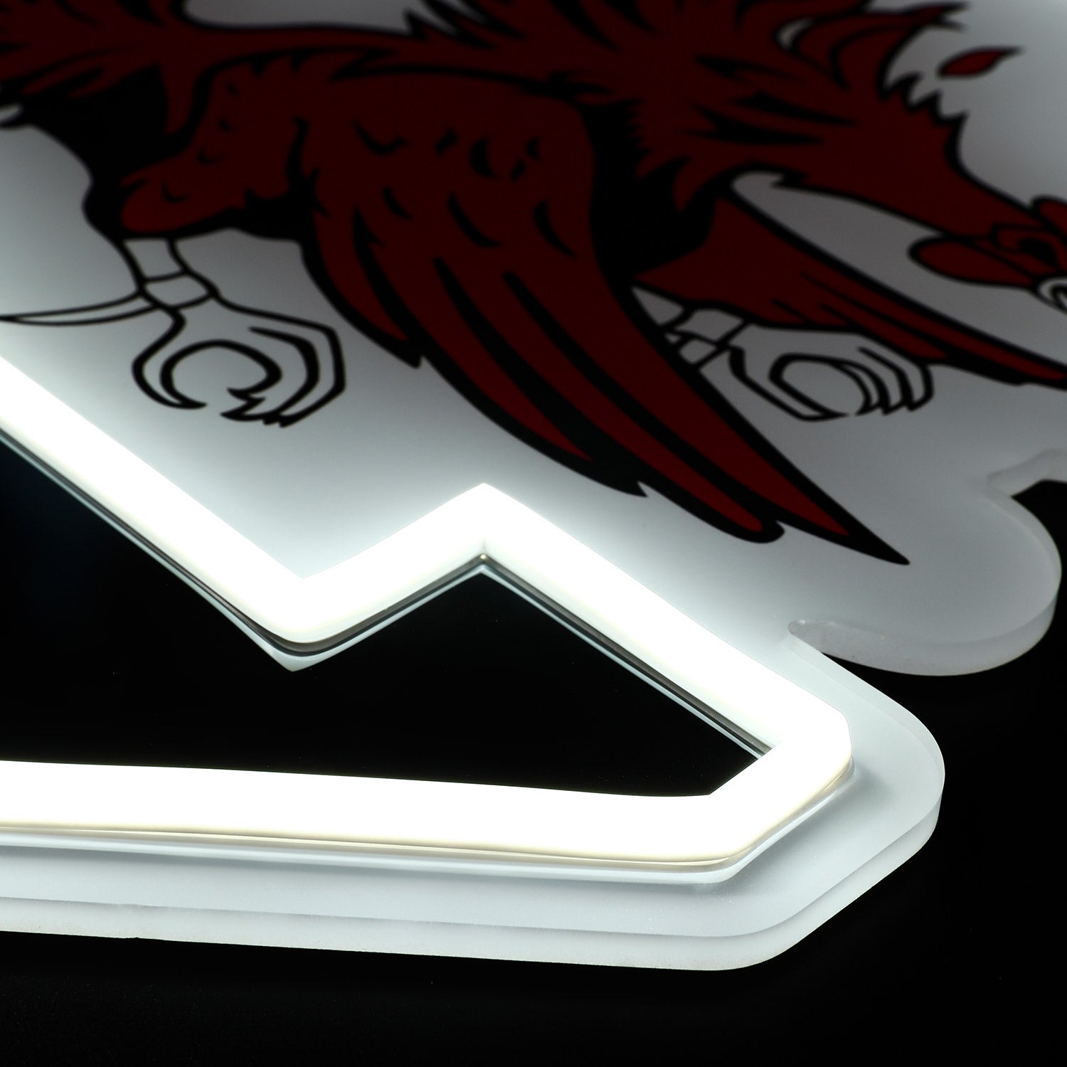 South Carolina Gamecocks LED Neon Sign - Saturday Neon