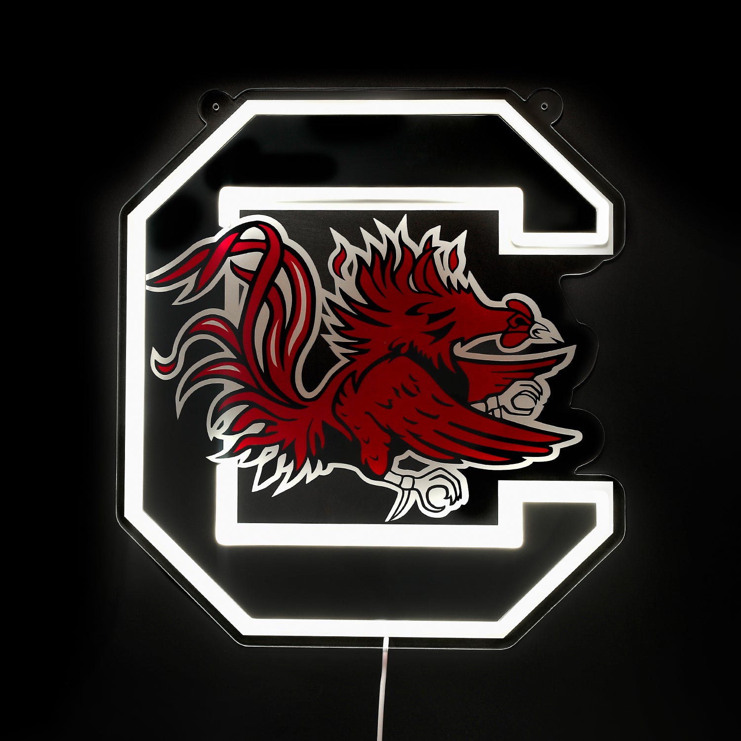 Blemished South Carolina Gamecocks Sign - Saturday Neon