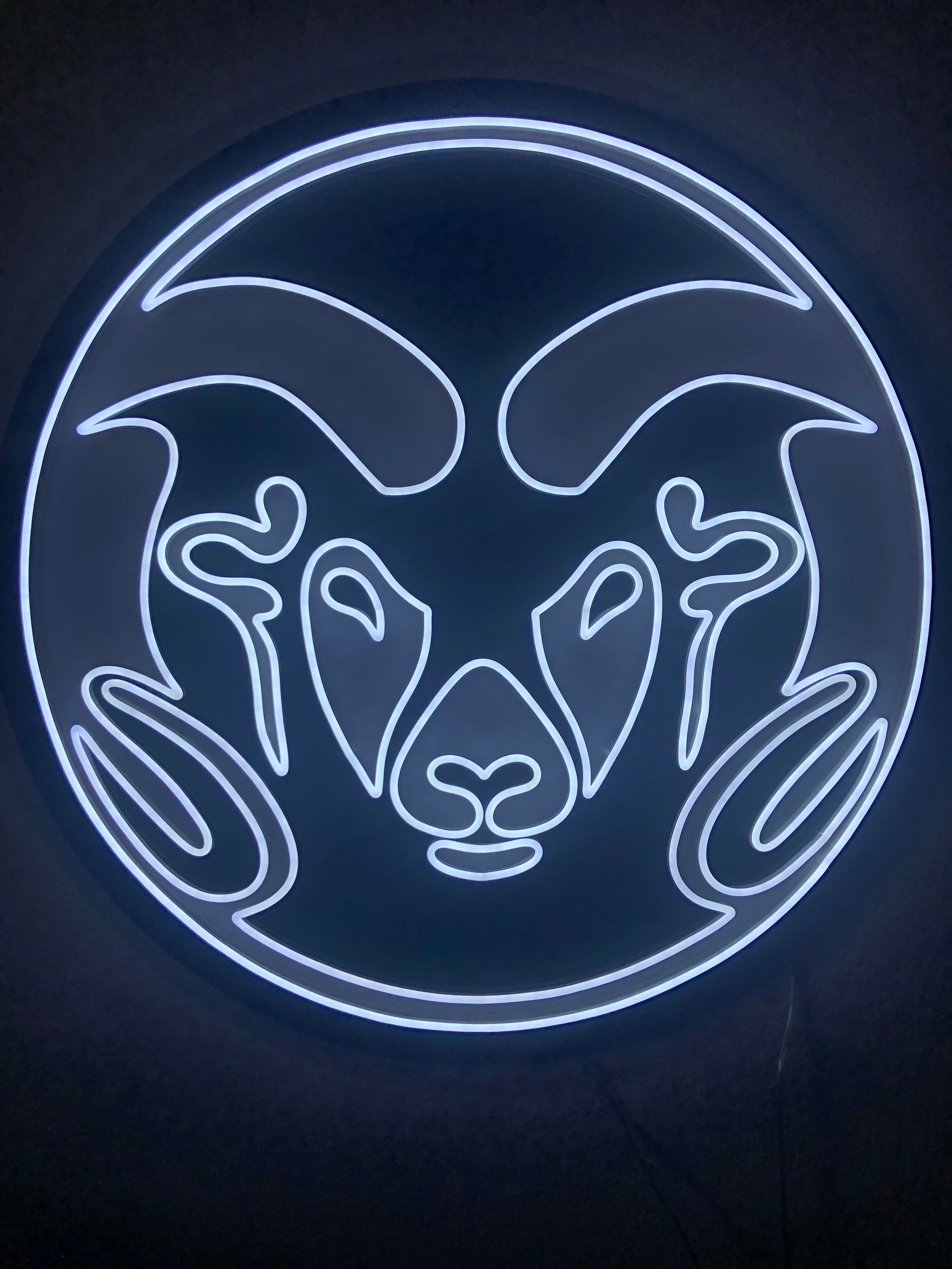 Colorado State University Logo Neon Sign - Saturday Neon