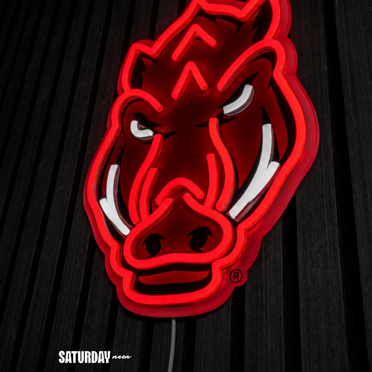 Arkansas Razorbacks LED Neon Sign - 10.15" x 15"