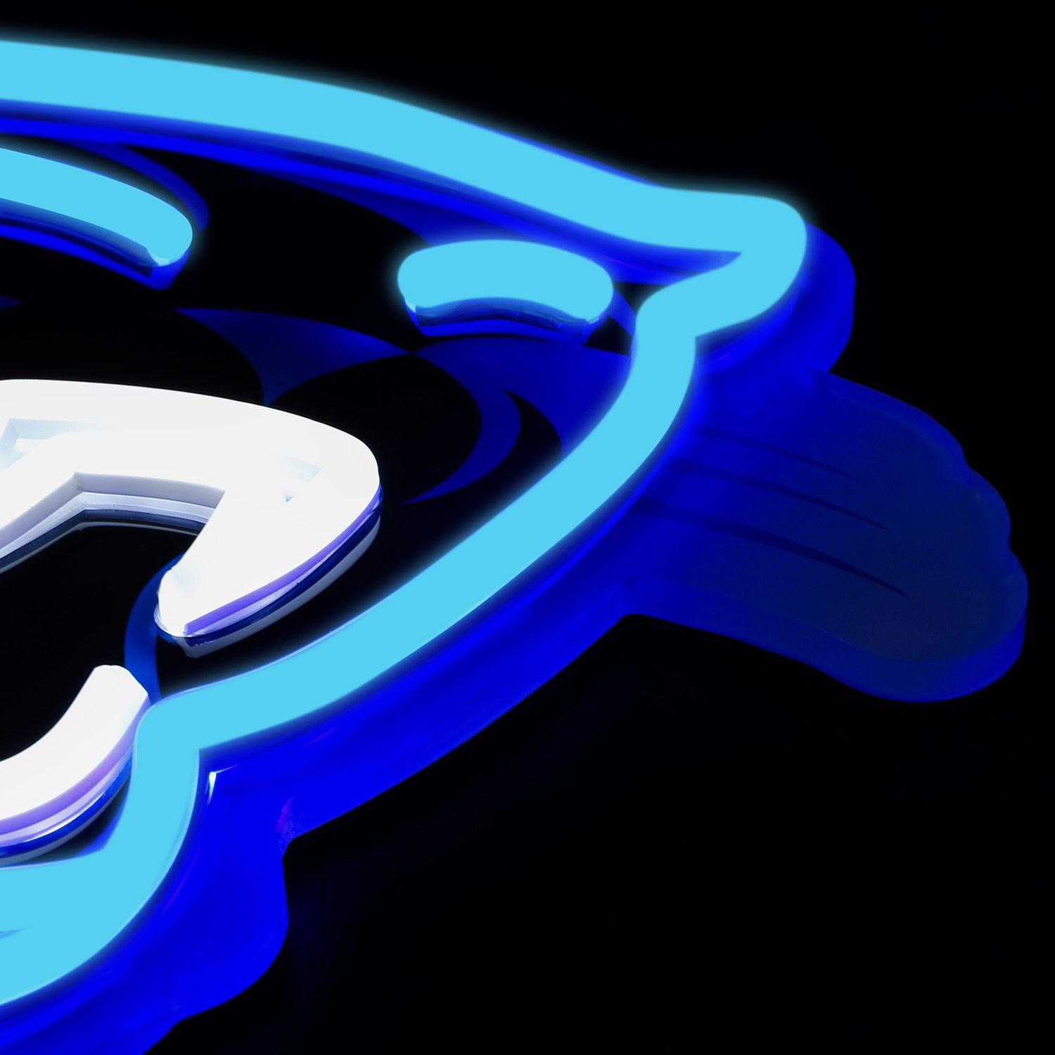 Carolina Panthers LED Neon Sign - Saturday Neon