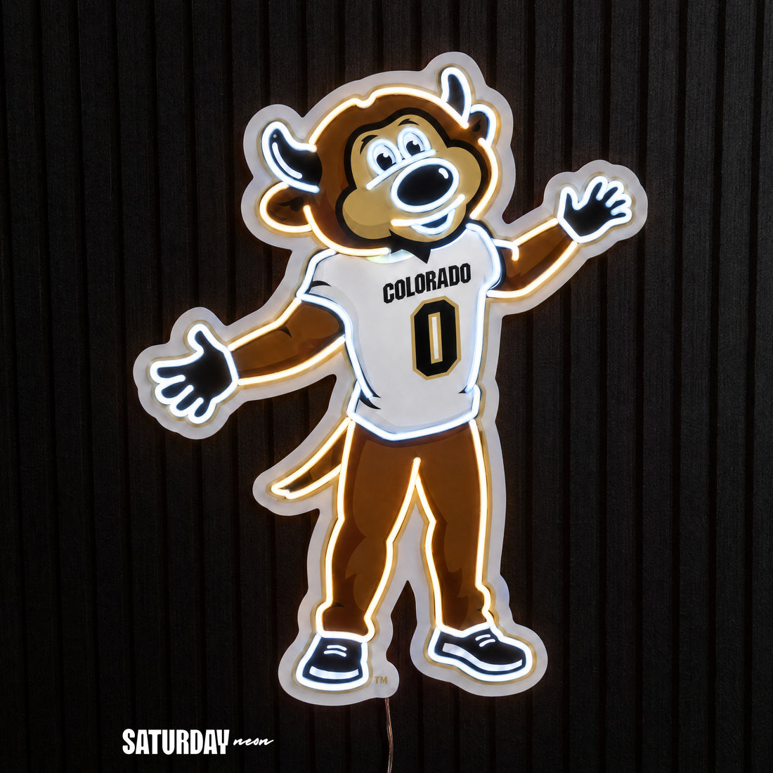 Colorado Buffaloes Chip Mascot LED Neon Sign - 18.39" x 24" - Saturday Neon