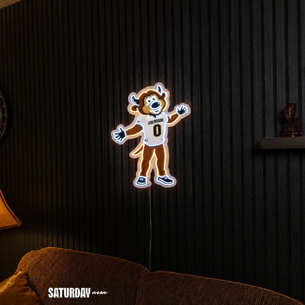 Colorado Buffaloes Chip Mascot LED Neon Sign - 18.39" x 24" above a couch - Saturday Neon
