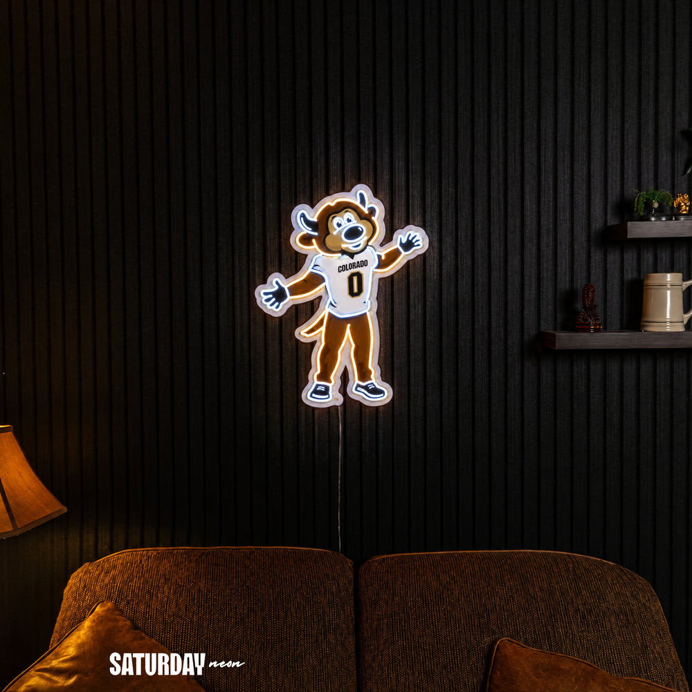 Colorado Buffaloes Chip Mascot LED Neon Sign - 18.39" x 24" in a living room - Saturday Neon