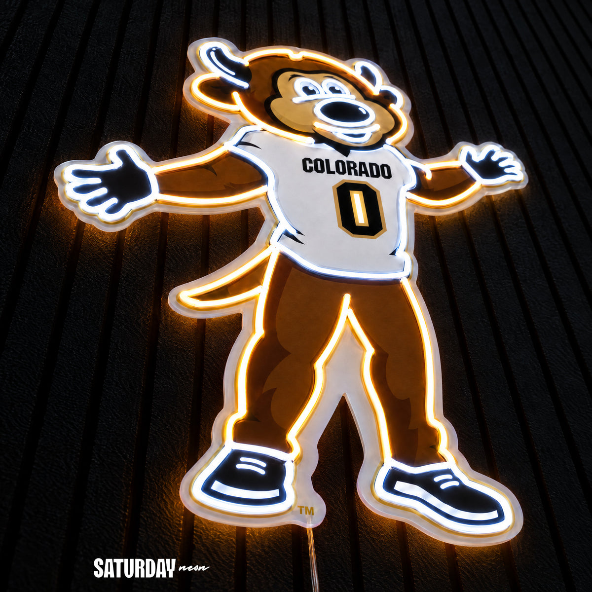Colorado Buffaloes Chip Mascot LED Neon Sign - 18.39" x 24" close-up - Saturday Neon