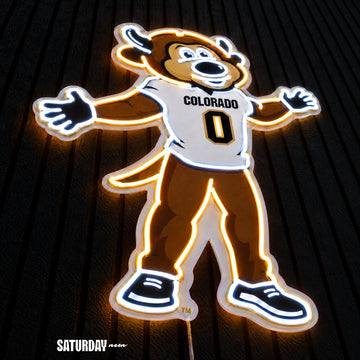 Colorado Buffaloes Chip Mascot LED Neon Sign - 18.39" x 24" close-up - Saturday Neon