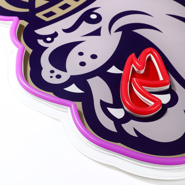 JMU Dukes logo LED neon sign at a side angle