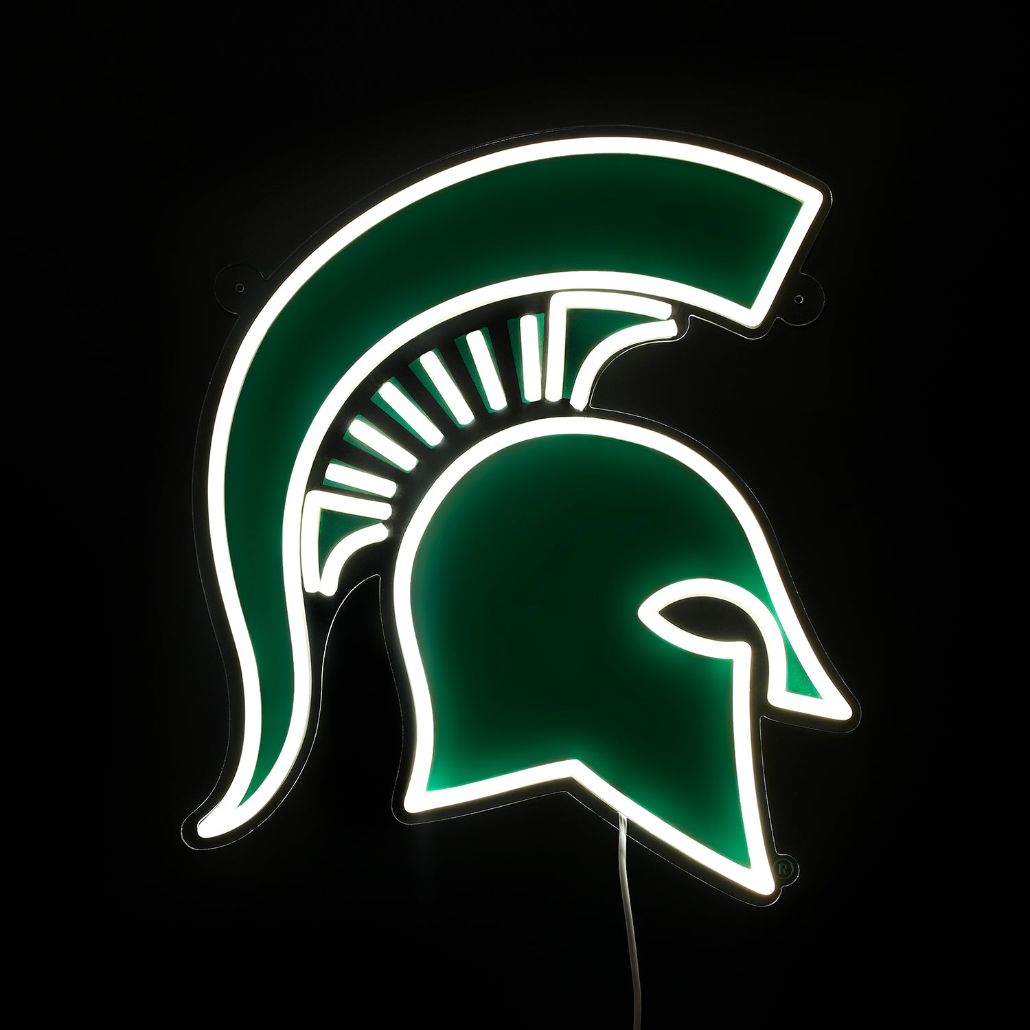 Michigan State Spartans LED Neon Sign