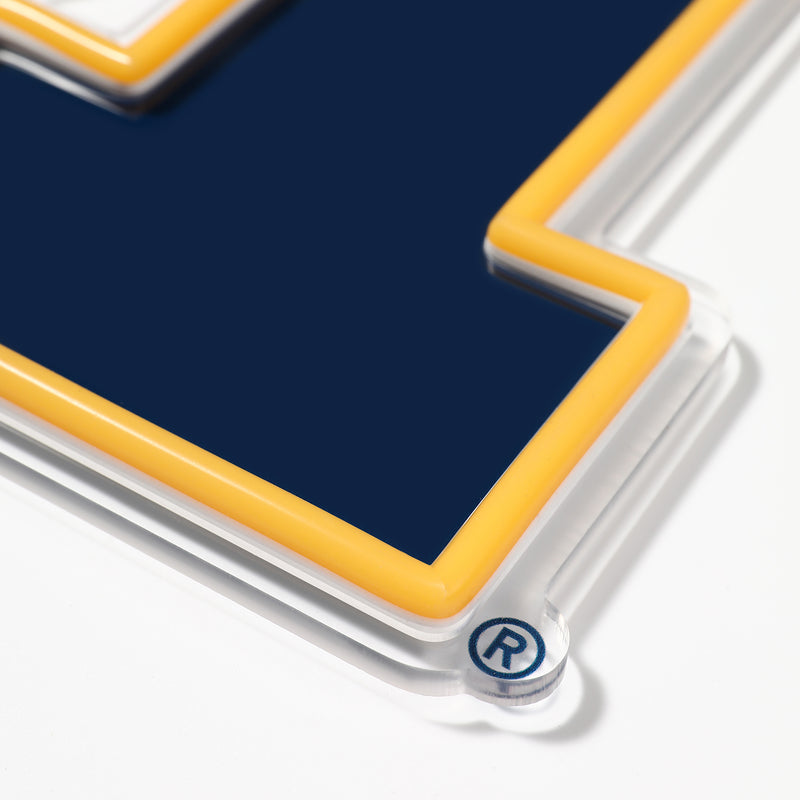 Michigan Wolverines LED Neon Sign - Saturday Neon