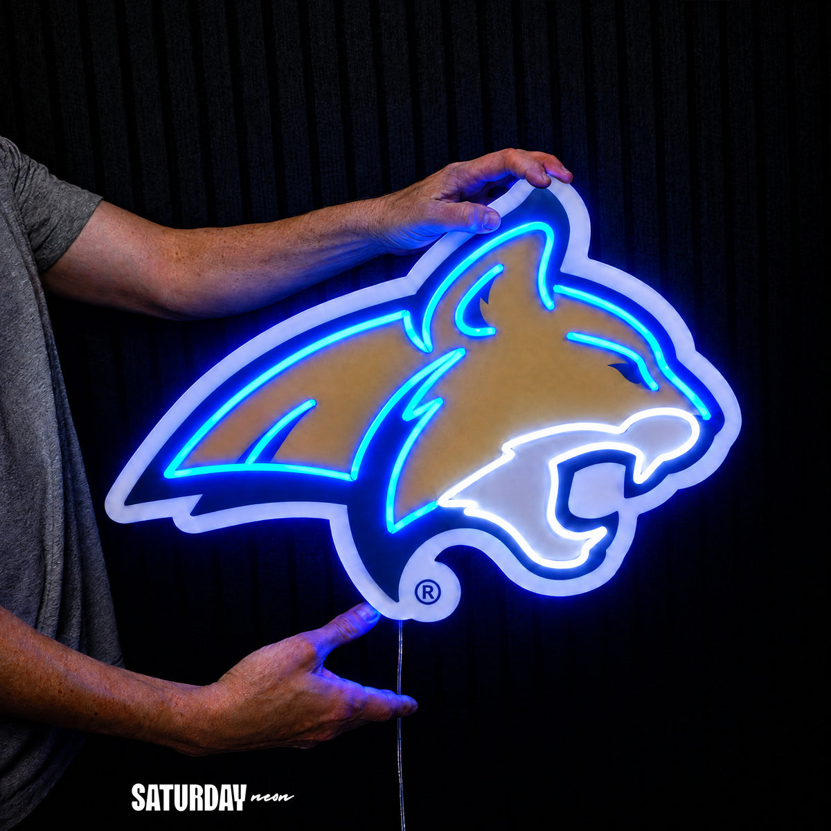 Montana State Bobcats LED Neon Sign - Plus (24" x 17.44") held in hand for scale - Saturday Neon