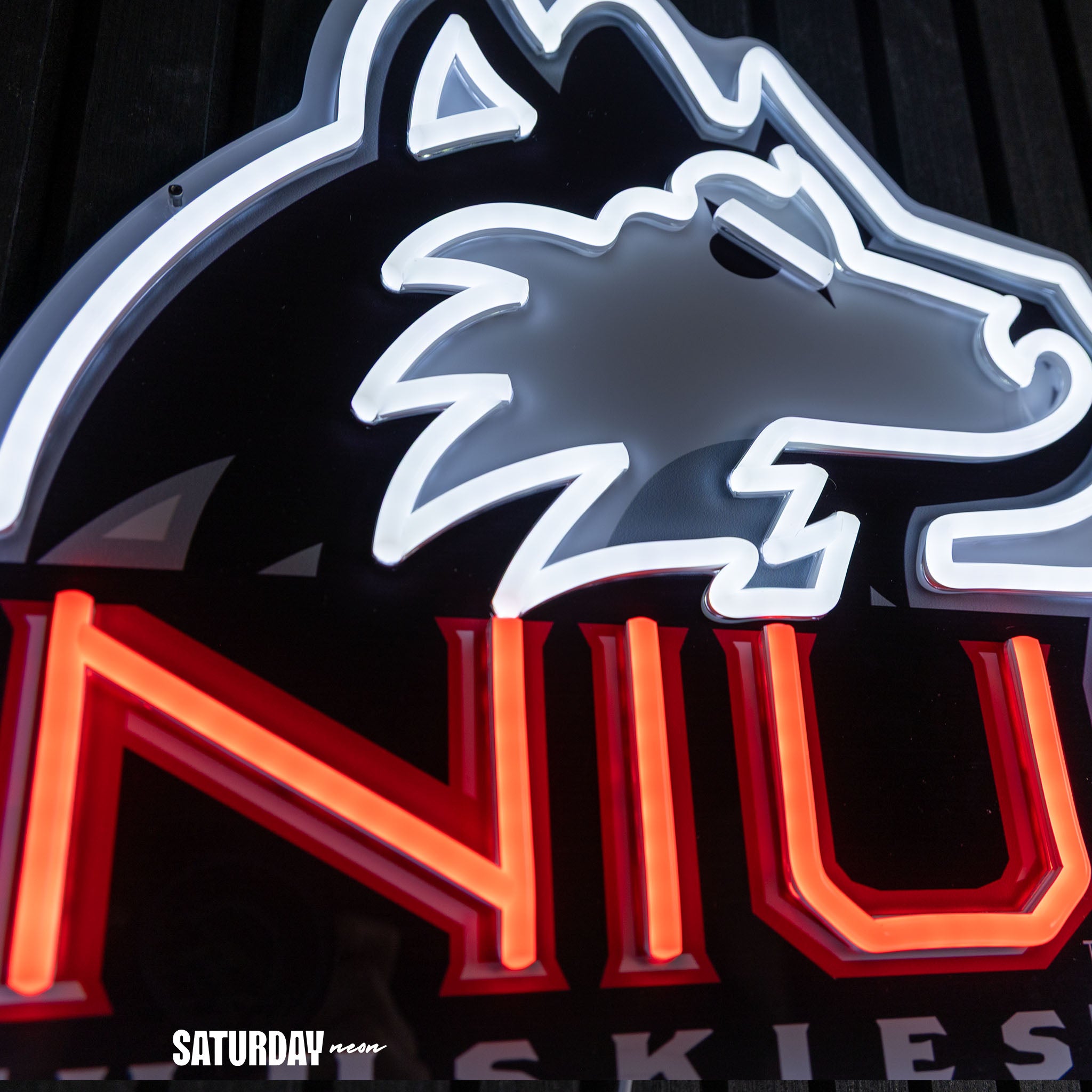 NIU Huskies LED Neon Sign - Standard (15" W x 14.53" H)
