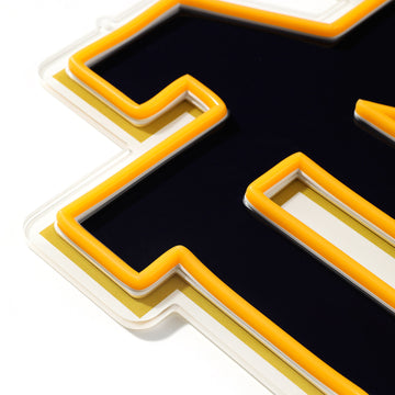 Notre Dame Fighting Irish LED Neon Sign - Saturday Neon