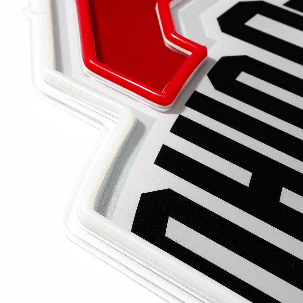 Ohio State Buckeyes logo LED neon sign