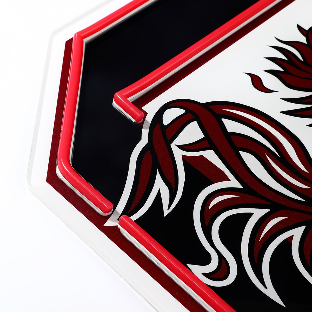 South Carolina Gamecocks logo LED neon sign at a side angle