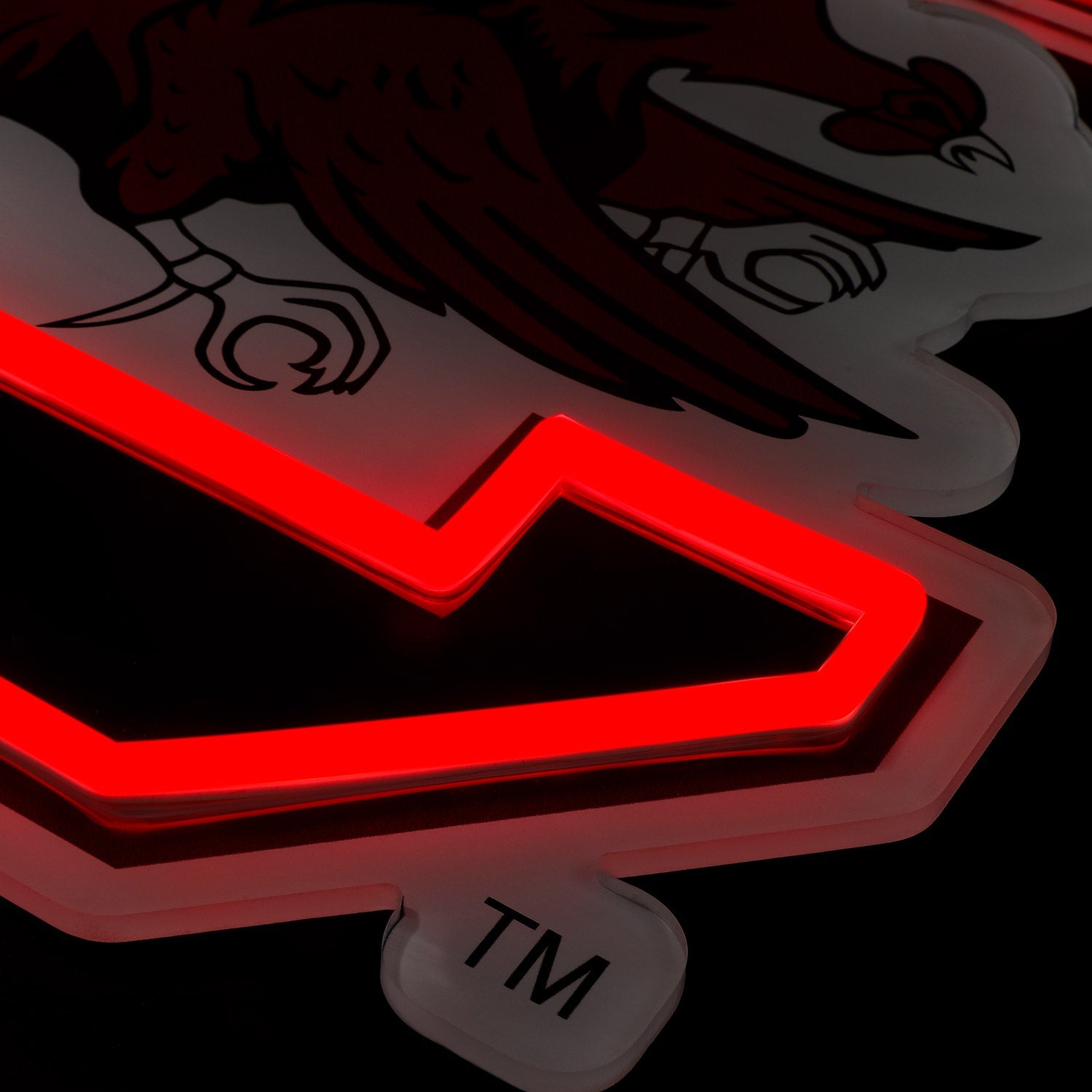 South Carolina Gamecocks logo LED neon sign at a side angle, lit