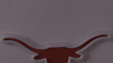 Texas Longhorns LED Neon Sign