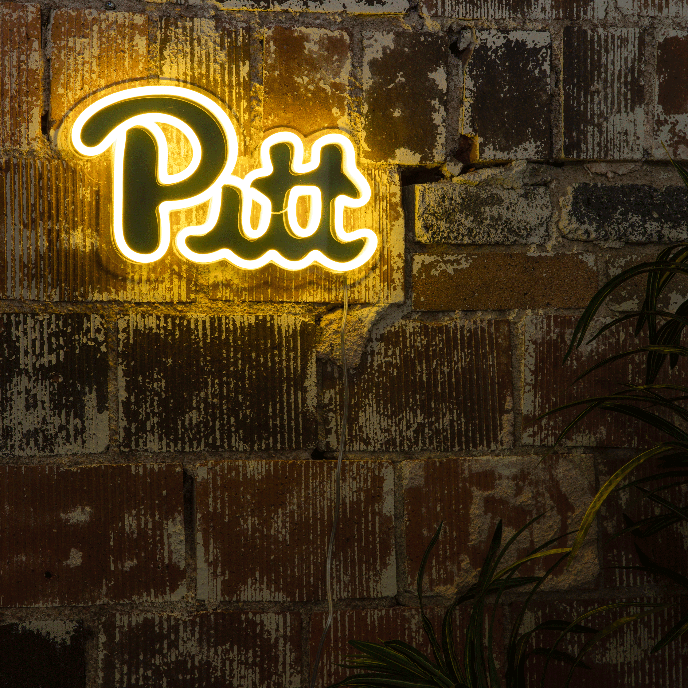 Pitt Logo Neon Sign - Saturday Neon