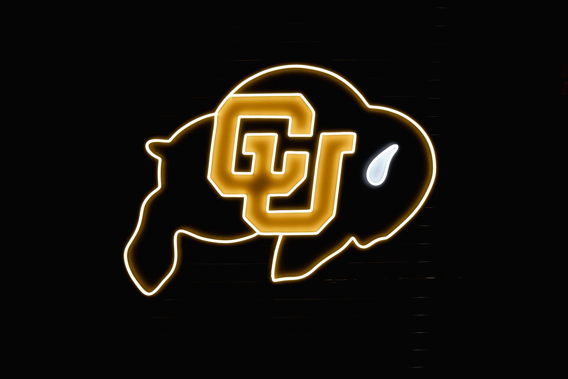 Colorado Buffaloes Ralphie Logo 2.0 LED Neon Sign - Saturday Neon