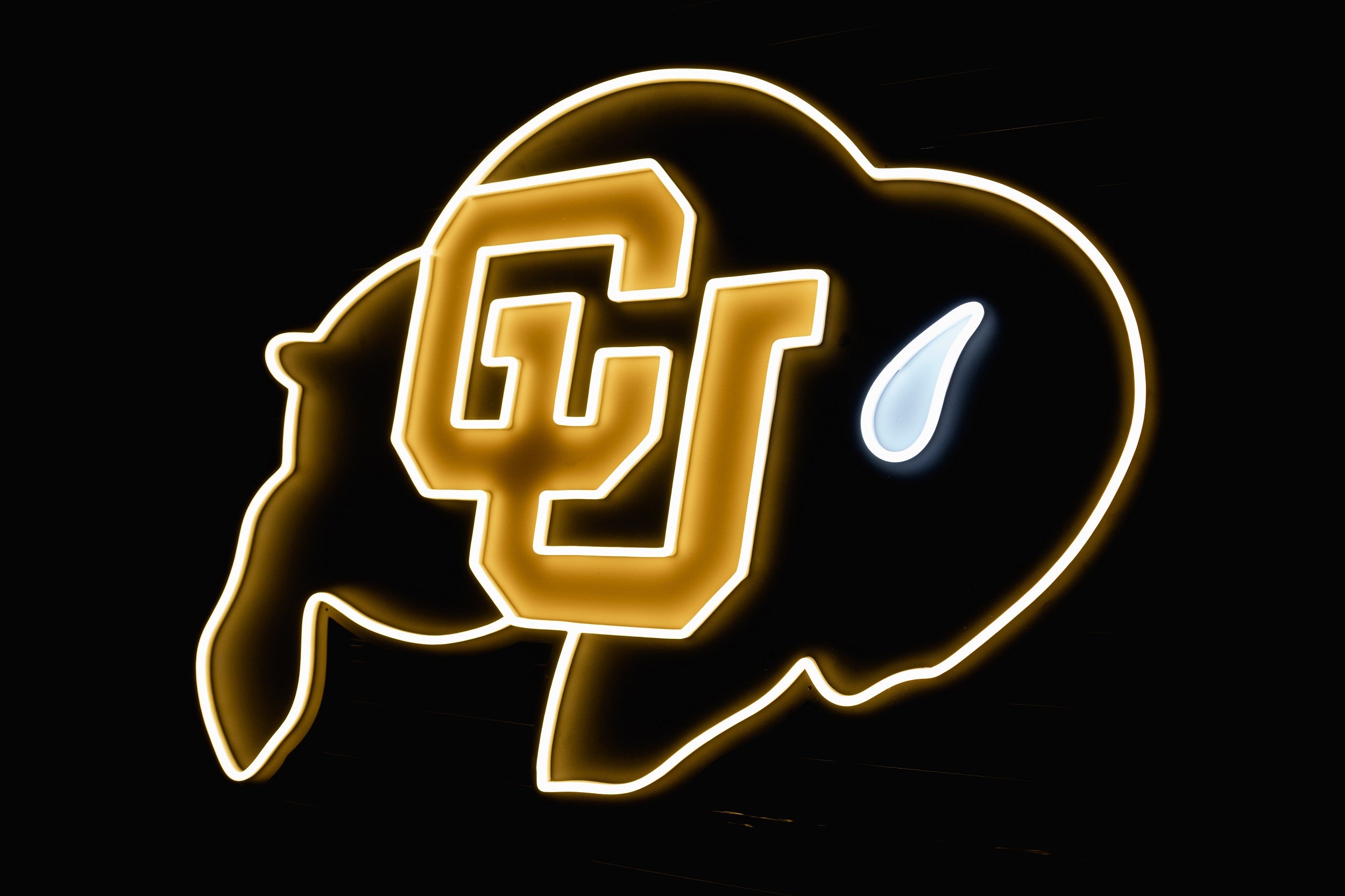 Colorado Buffaloes Ralphie Logo 2.0 LED Neon Sign - Saturday Neon
