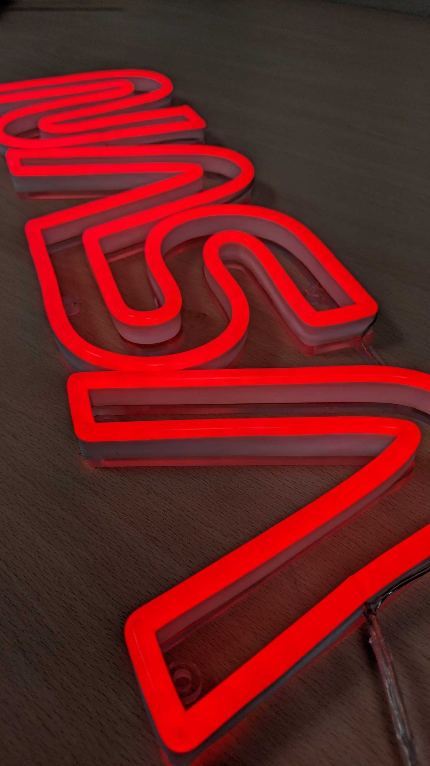 NASA Worm Logo LED Neon Sign - Saturday Neon