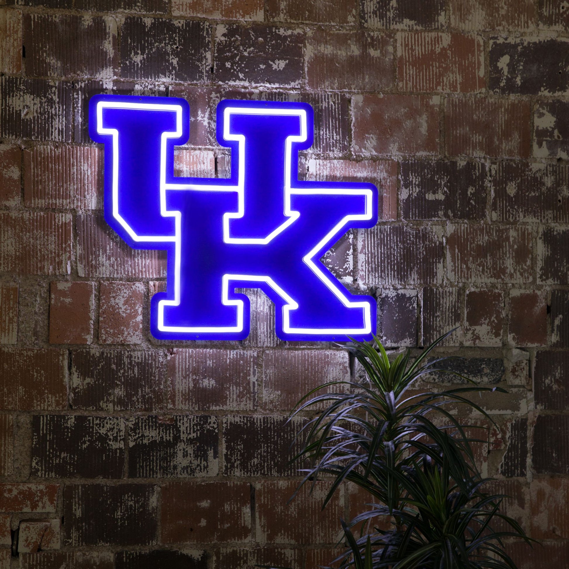 Kentucky Wildcats Logo LED Neon Sign - Saturday Neon