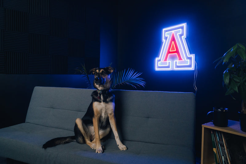 Arizona Wildcats Logo Neon Sign - Saturday Neon