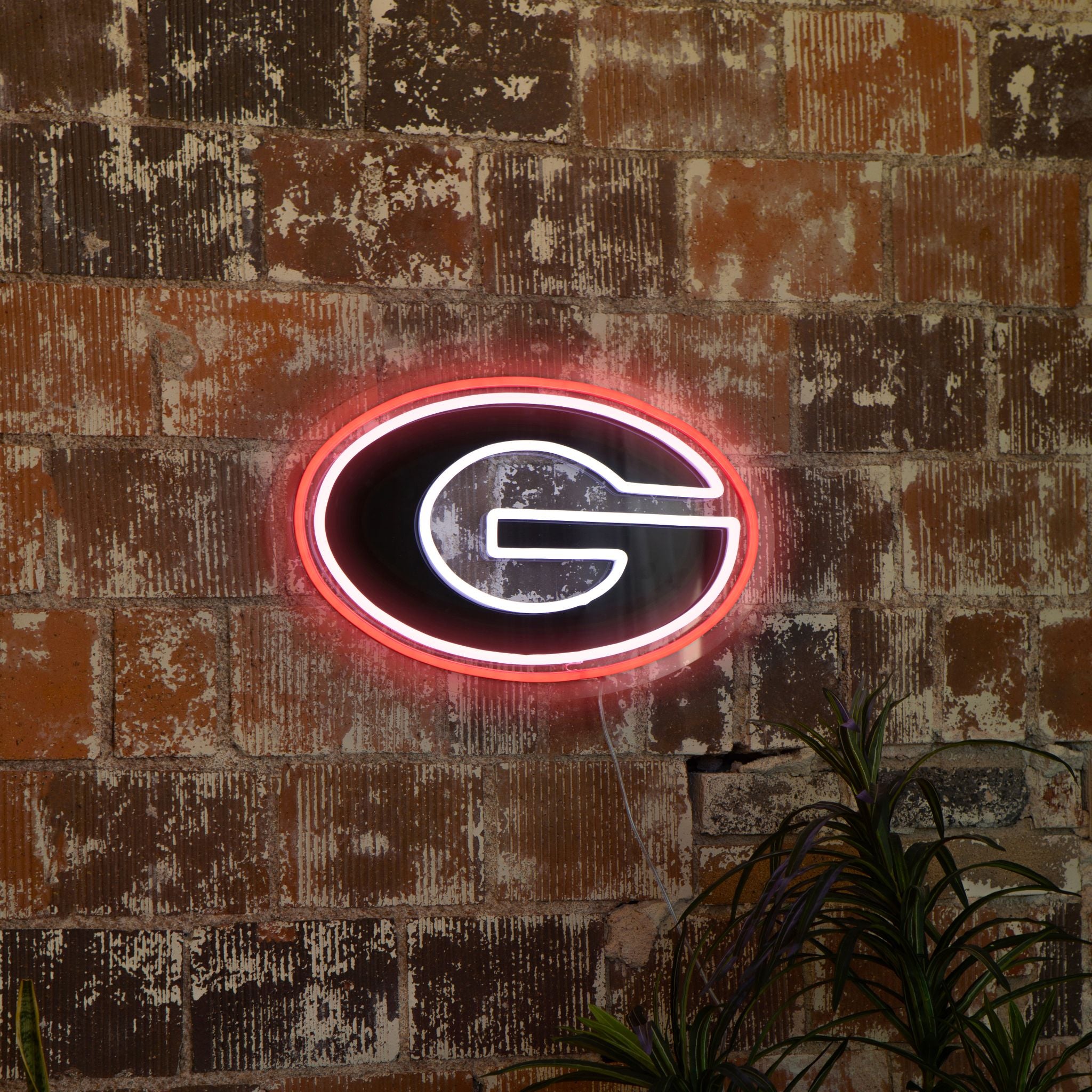 Georgia Bulldogs Neon Sign - Saturday Neon